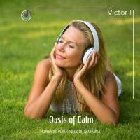 Oasis of Calm M-Yaro mp3 z licencją